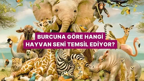 Burcuna Göre Hangi Hayvan Seni Temsil Ediyor?