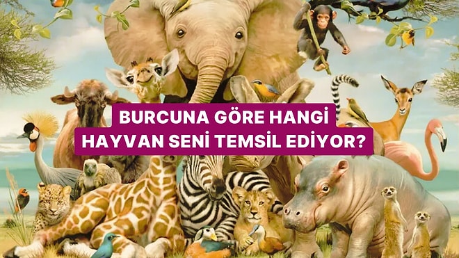 Burcuna Göre Hangi Hayvan Seni Temsil Ediyor?