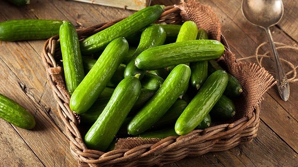 Rusya'da salatalık "yeni altın" oldu.