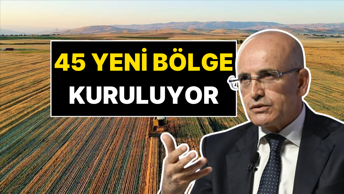 Bakan Mehmet Şimşek Yeni Projeyi Açıkladı: 45 Yeni Bölge Kuruluyor!