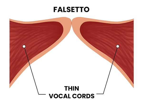 1. Falsetto ile başlayalım. Diğer adı "Kafa Sesi"