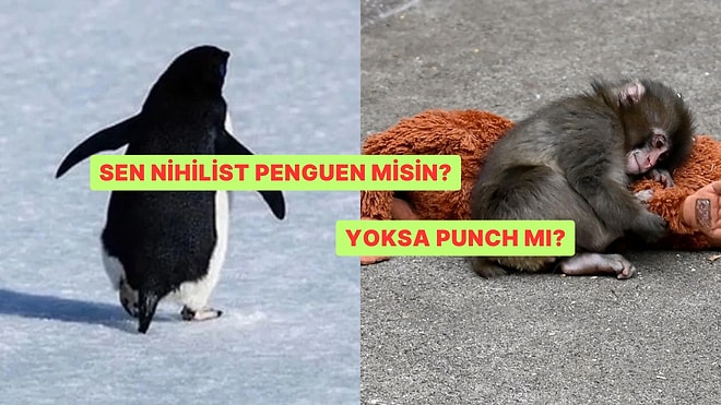 Nihilist Penguen misin, Yoksa Punch mı?