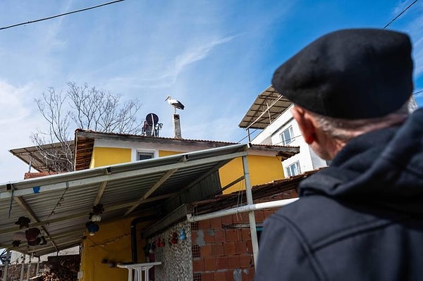 Avrupa Leylek Köyleri Birliği’nin Türkiye’deki tek temsilcisi olan Eskikaraağaç, bu sabah göç yolculuğunun ilk misafirini karşıladı.