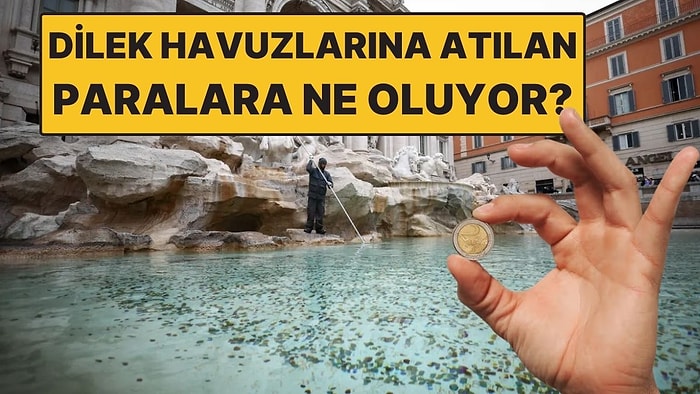 Milyonlarca Lira Toplanıyor: Dilek Havuzlarına Atılan Paralar Nereye Gidiyor?