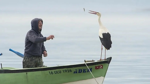 Yaren Leylek Ne Zaman Gelecek?