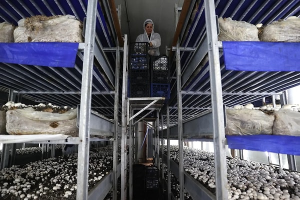 Gürkan İzgi bu desteğin "yatırımcı için bulunmaz bir nimet" olduğunu belirtiyor.