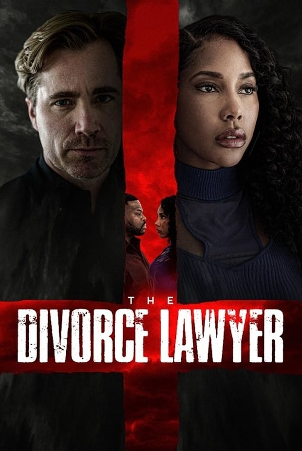 The Divorce Lawyer Posteri