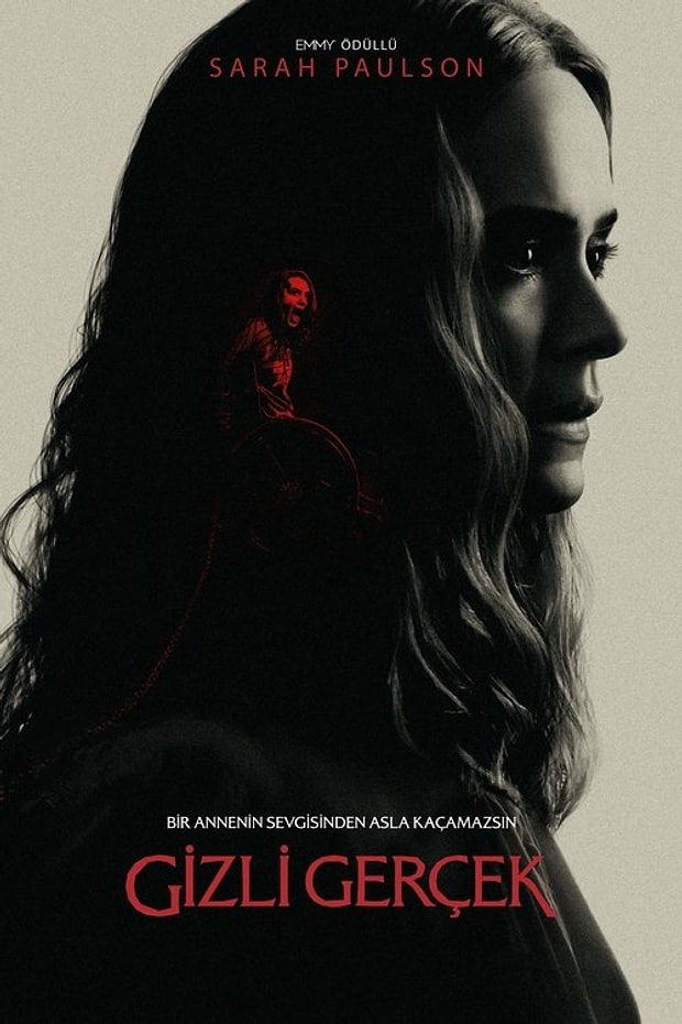 Gizli Gerçek Posteri