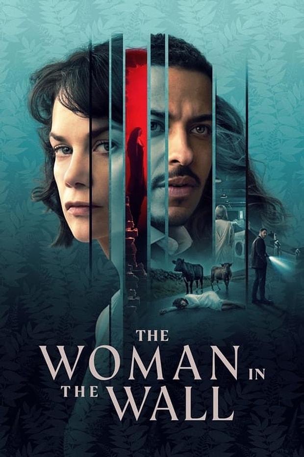 The Woman in the Wall Posteri