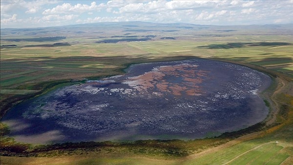Bilim insanlarından sevindirici haber geldi.