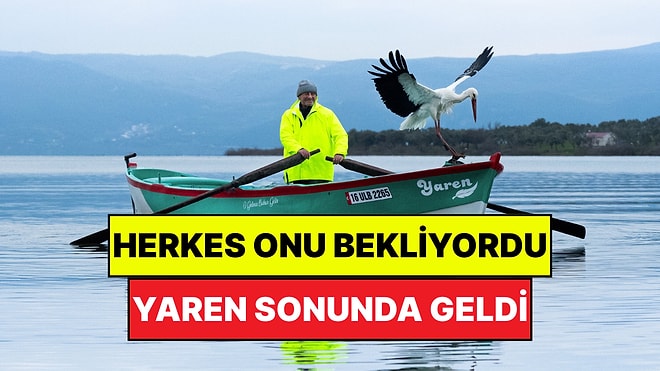 Beklenen Kavuşma Gerçekleşti: Adem Amca ile Yaren Leylek Buluştu