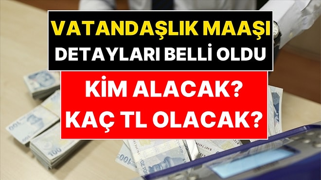 Vatandaşlık Maaşının Kimlere, Ne Kadar Verileceği Belli Oldu