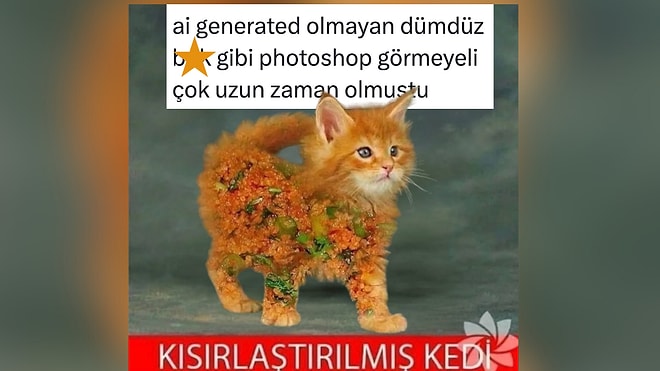 Bir Çırpıda Biten Şubat Ayının En Komik Tweetleri