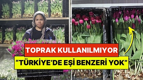 Topraksız, Gübresiz Tonlarca Üretim Yapıyorlar: "Türkiye'de Başka Örneği Yok"