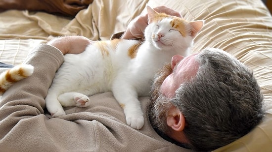 According to Science, Cats Are Not as Attached to Their Owners as We Think