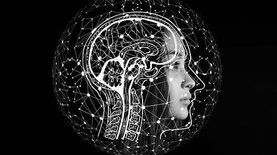 Harvard Confirmed: Here Are The Scientific Steps to Stop Your Brain From Ageing