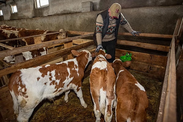 Megakent İstanbul'dan köye dönüş trendi devam ediyor.