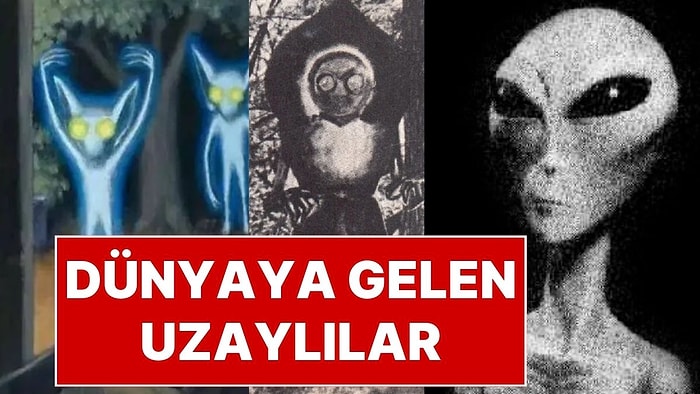 Aramızda Yaşadıkları İddia Ediliyor: Uzaylı Irkları Hakkında Şaşırtıcı Detaylar!
