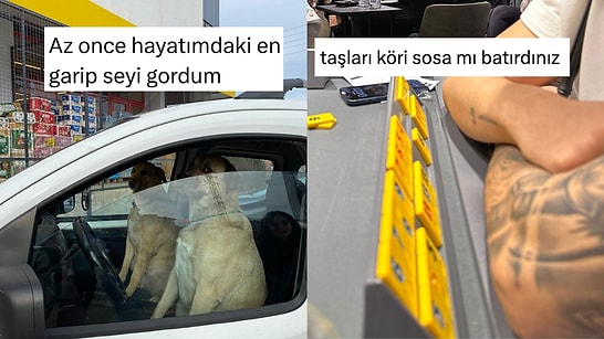 Tuhaf Manzaralardan Köri Soslu Okey Taşına Son 24 Saatin Viral Tweetleri