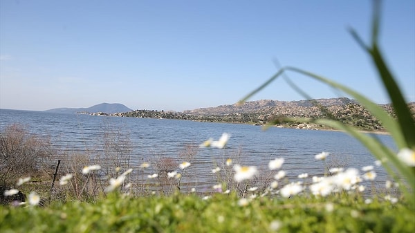 Artan su seviyesi balıkçılığı da hareketlendirdi