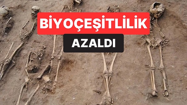 700 Yıllık Pandeminin Doğaya Etkisi Sanılandan Farklı Çıktı
