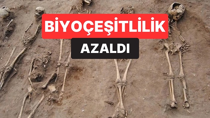 700 Yıllık Pandeminin Doğaya Etkisi Sanılandan Farklı Çıktı