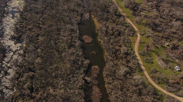 270’ten fazla kuş türü ve birçok canlı için yaşam alanı oluşturuyor.