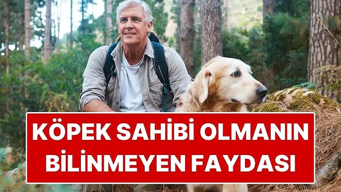 Bilim İnsanları Açıkladı: Köpek Sahiplerinin Demans Riski Daha Düşük