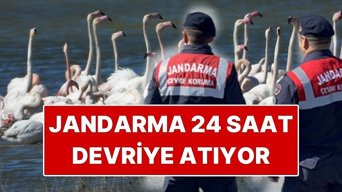 Jandarma, Flamingolar İçin Gelingüllü Barajı’nda 24 Saat Devriye Yapıyor