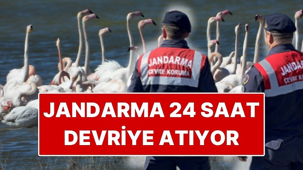 Jandarma Flamingolar İçin Gelingüllü Barajı’nda 24 Saat Devriye Yapıyor