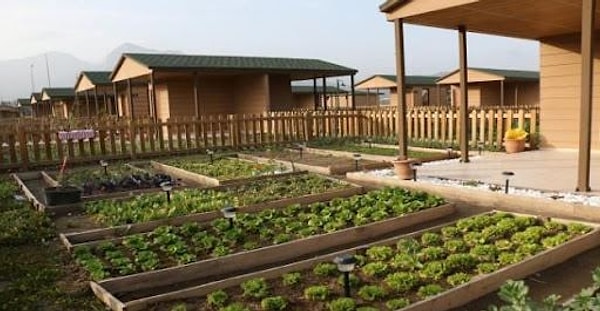 Hobi bahçeleriyle ilgili yaptırımlar artacak.