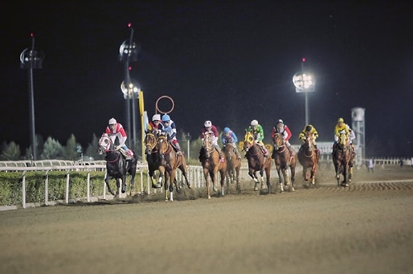 Yarış atı nasıl buraya geldi?