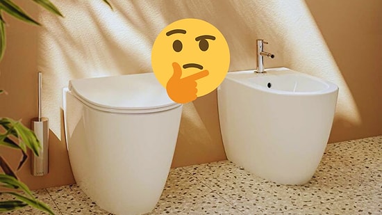 Why Do Some Homes in Europe Have Two Toilets Side by Side?