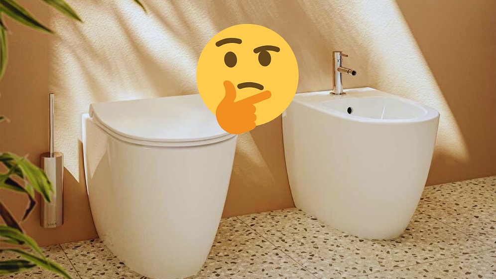 Why Do Some Homes in Europe Have Two Toilets Side by Side?