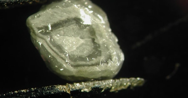 60 yıl boyunca kimse emin olamadı...