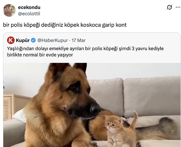 Sektör vefasız...