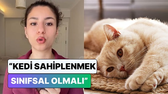 "Kedi Sahiplenmek Sınıfsal Olmalı" Diyen Veteriner Sosyal Medyayı İkiye Böldü