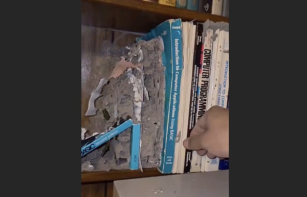 How should we maintain our library to prolong its lifespan?