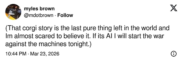 "O corgi hikayesi dünyada kalan son saf şey gibi ve buna inanmak bile neredeyse korkutuyor. Eğer yapay zeka çıkarsa bu gece makinelerle savaşı başlatırım."