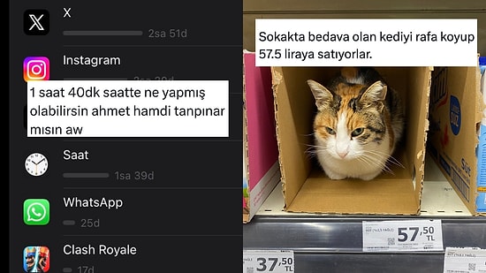 Saatleri Ayarlama Enstitüsünden Kedilerin Her Yerden Çıkmasına Son 24 Saatin Viral Tweetleri