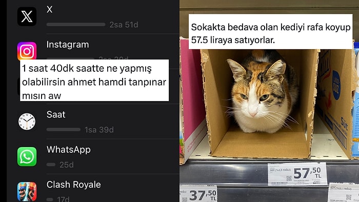 Saatleri Ayarlama Enstitüsünden Kedilerin Her Yerden Çıkmasına Son 24 Saatin Viral Tweetleri