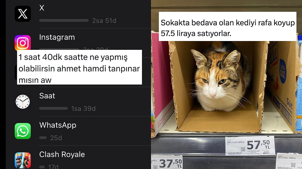 Saatleri Ayarlama Enstitüsünden Kedilerin Her Yerden Çıkmasına Son 24 Saatin Viral Tweetleri