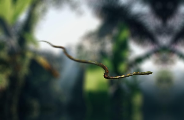 Mağara derinliklerinde yapılan teknik incelemeler sonucunda, bilim dünyası için tamamen yeni olan türler kayıt altına alındı.
