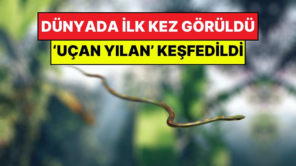 Bilim Dünyası Şokta: Milyonlarca Yıllık Mağarada 'Uçan Yılan' Türü Keşfedildi