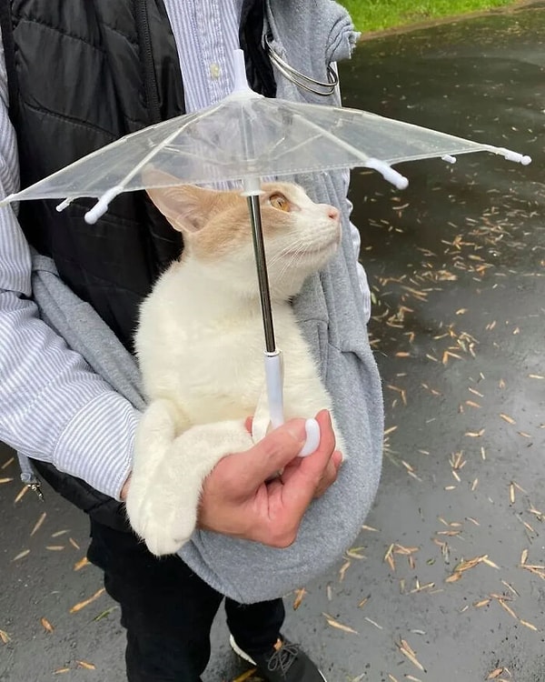 4. Şemsiyeni yesinler! 😍