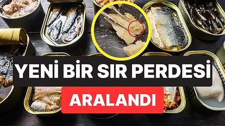 50 Yıllık Konserve Somondan Çıkan Şey Denizlerin Gizli Dünyasını Ortaya Çıkardı