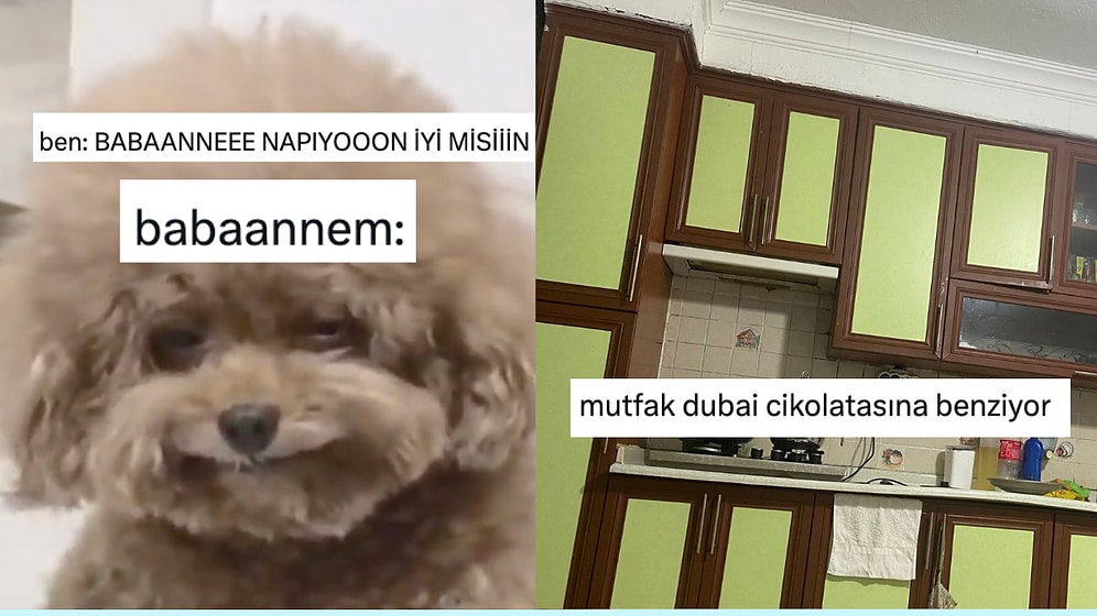 Her Ne Yapıyorsanız Bırakıp Okumanız Gereken Haftanın En Komik Tweetleri