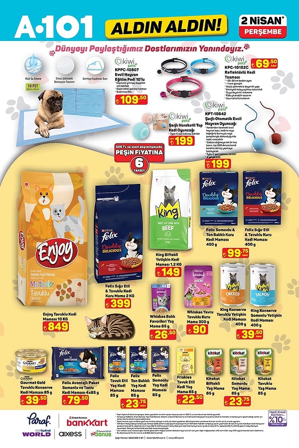 Kiwi Evcil Hayvan Eğitim Pedi 10'lu 109,50 TL