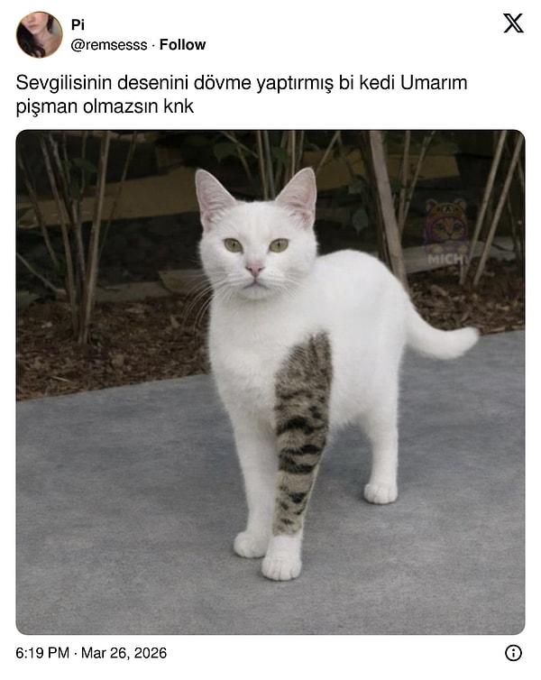 Acele karar vermemek lazım.