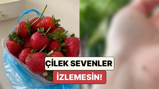 Pazardan Aldığı Çilekleri Dezenfekte Eden Kadın Çileklerin İçinden Çıkanlara İnanamadı!